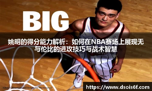 333体育