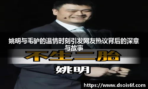 333体育直播