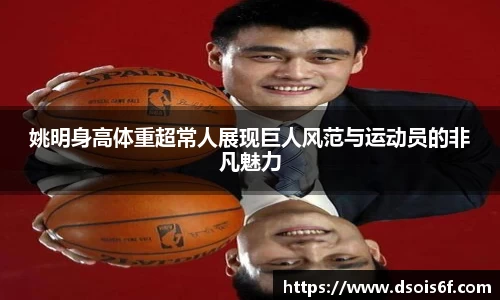 333体育直播