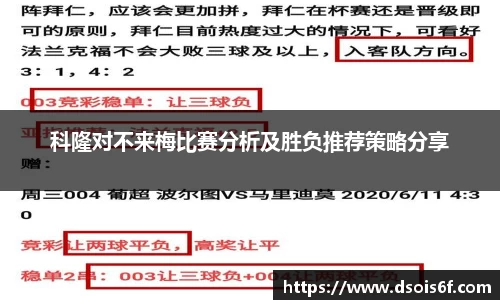 333体育直播