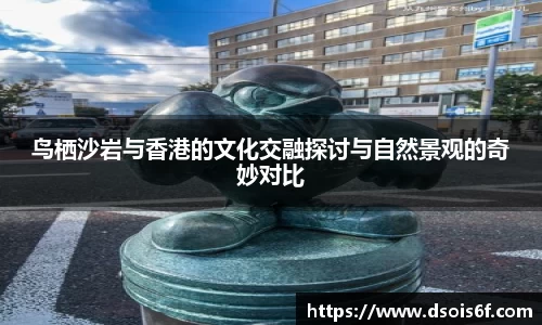 333体育体育直播