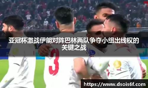 333体育直播