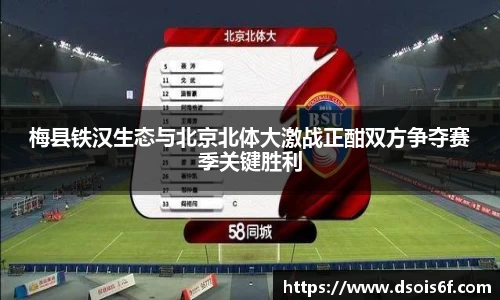 333体育体育直播